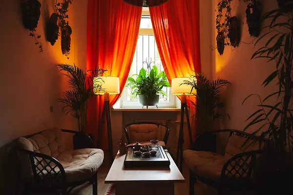 room Jungle